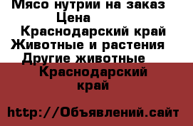 Мясо нутрии на заказ › Цена ­ 200 - Краснодарский край Животные и растения » Другие животные   . Краснодарский край